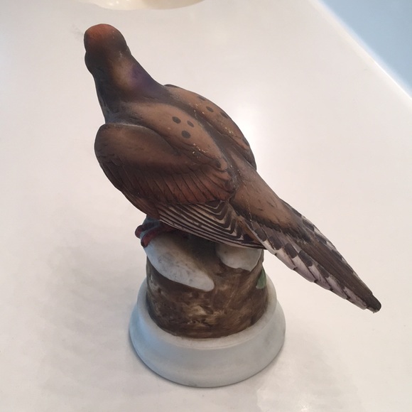 Mourning Dove - Picture 2 of 7